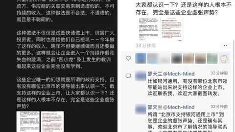 大中矿业担保动态：全资子公司担保最新进展全解析